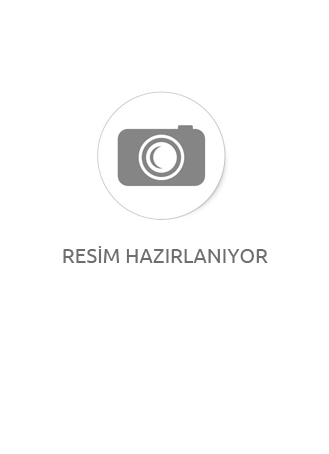 Dilvin Polo Yaka Bluz Taş
